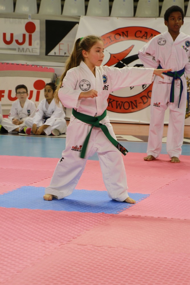 Taekwondo Dic 2016 (132).jpg